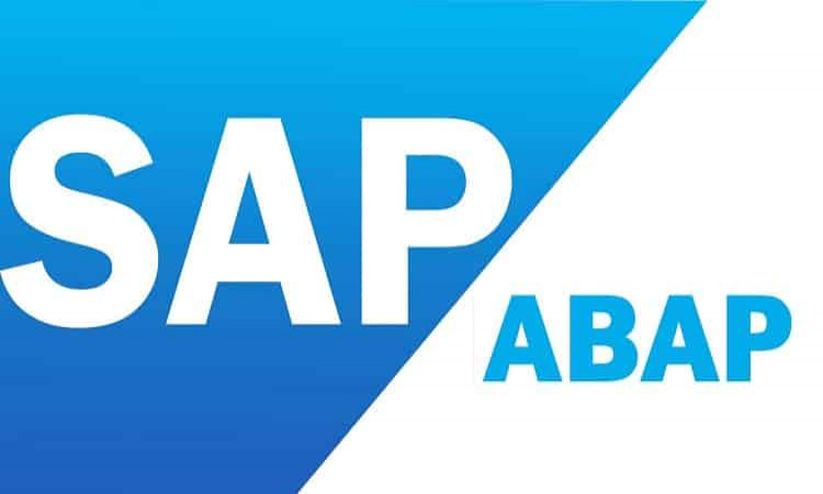 What is an ABAP program in SAP?