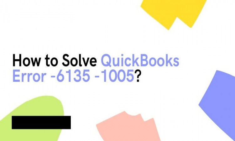 QuickBooks Error -6135 -1005