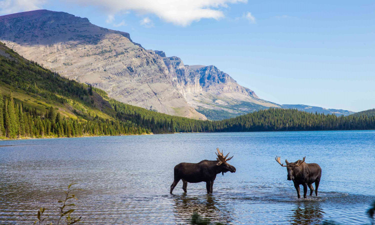 Gorgeous things to do in Montana.
