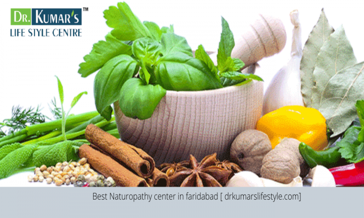 Best Naturopathy Centre in faridabad