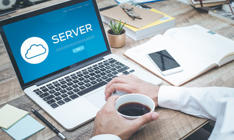 Why web hosting is important? Learn here
