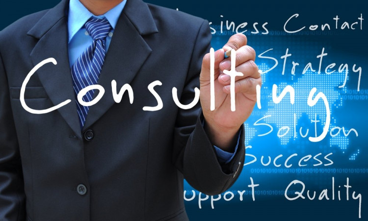 Perceive the Sorts of Business Consultants You Need