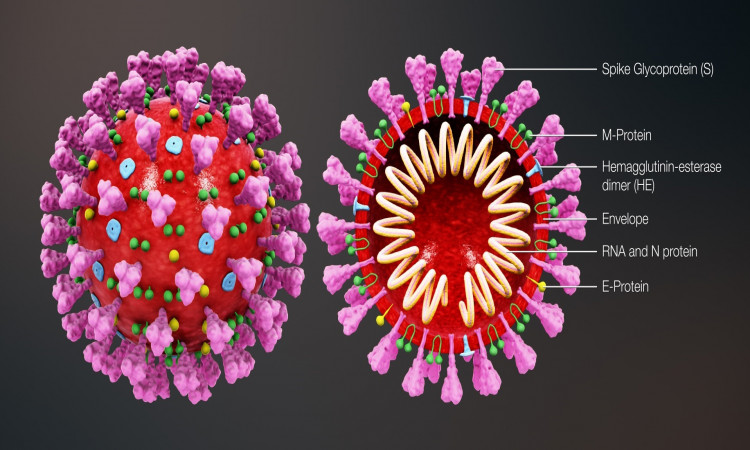 Is SARS-COV-2 More Deadly?