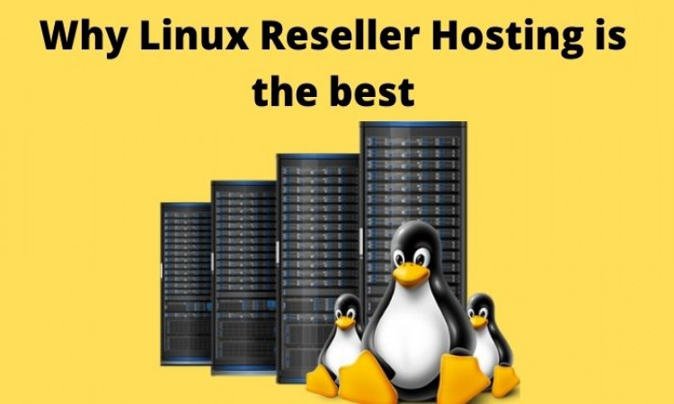 Why Linux Reseller Hosting is the best for Successful businesses