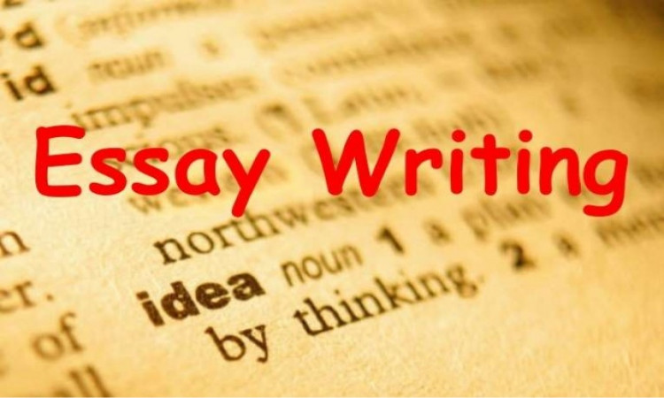 4 Common Reasons Why Students Buy Essays Online